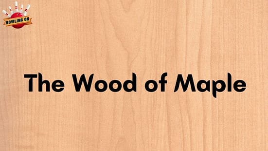 The Wood of Maple